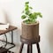 Vintiquewise Wooden Stump Tree Branch with Bark Succulent Planter Pot Flower Shelf QI003849 - alternate 6